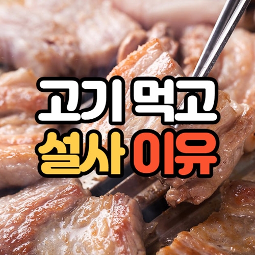 고기 먹고 설사