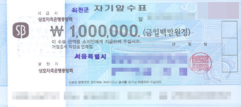  [정보] 수표 분실시  대처방법!!!