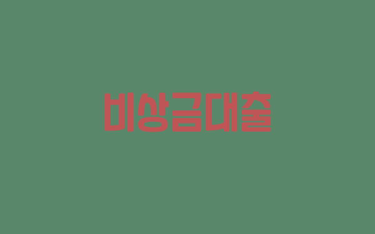  비상금대출