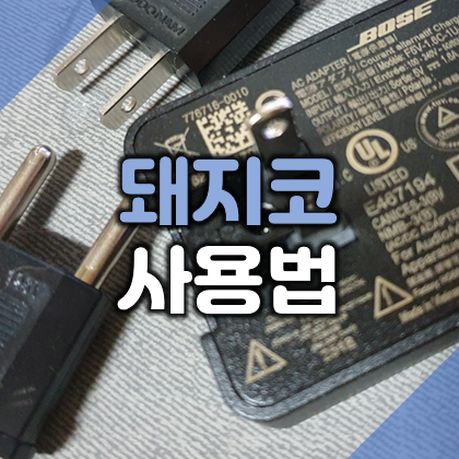돼지코 이미지