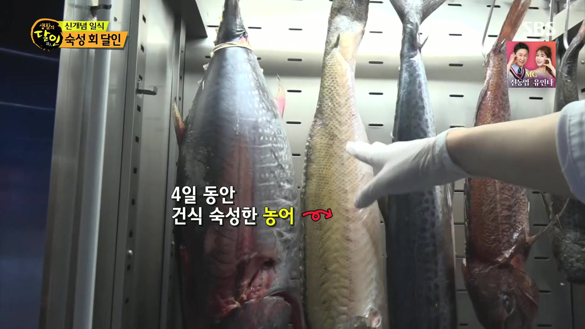 생활의 달인.E939.240610p.H264-F1RST.mp4_20240611_195708.509.jpg