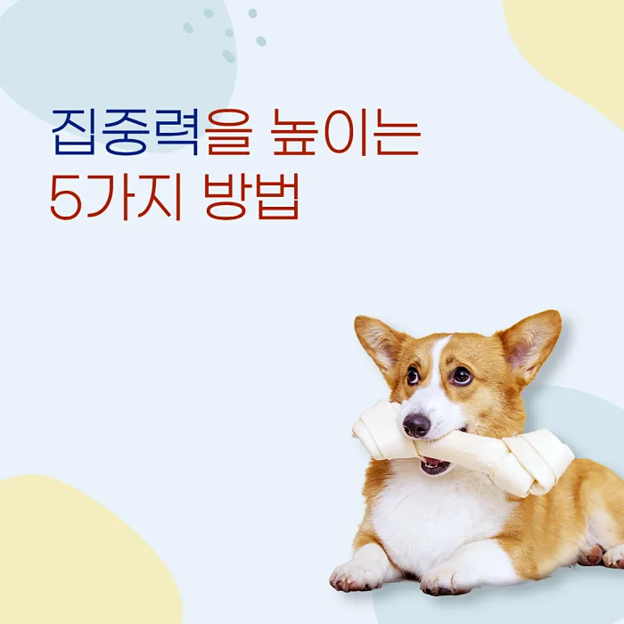  집중력을 높이는 5가지 방법 - 당신의 생산성을 두 배로!