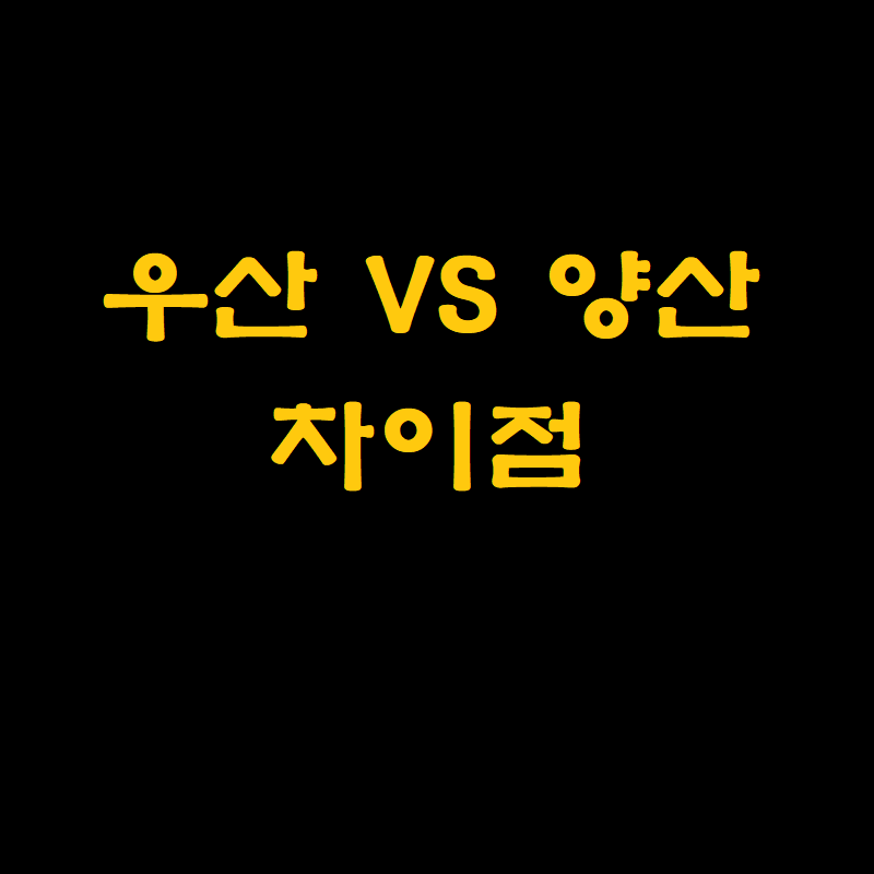 우산 양산 차이점