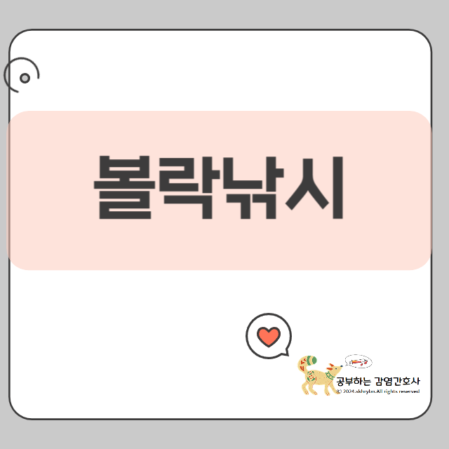 부산 볼락낚시 명당 5곳 공개! 현지꾼들이 추천하는 숨은 포인트