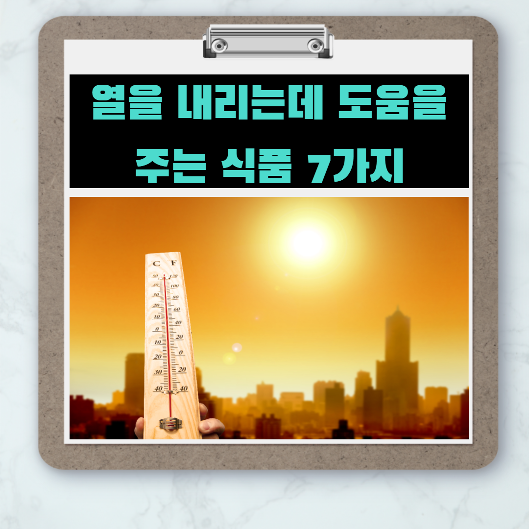  몸의 열을 내려주는 음식 7가지