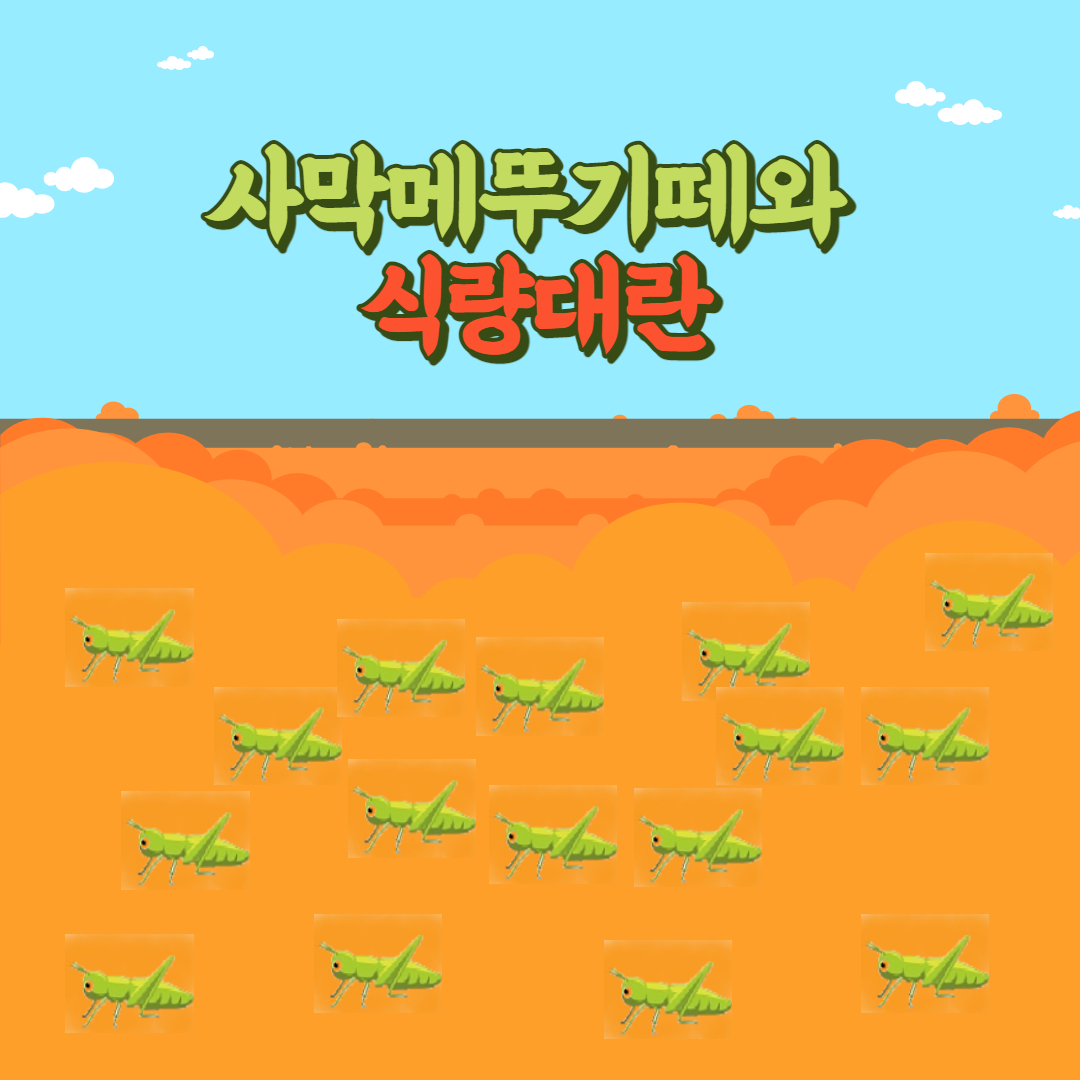 사막메뚣기뗴와-식량대란-대처방법