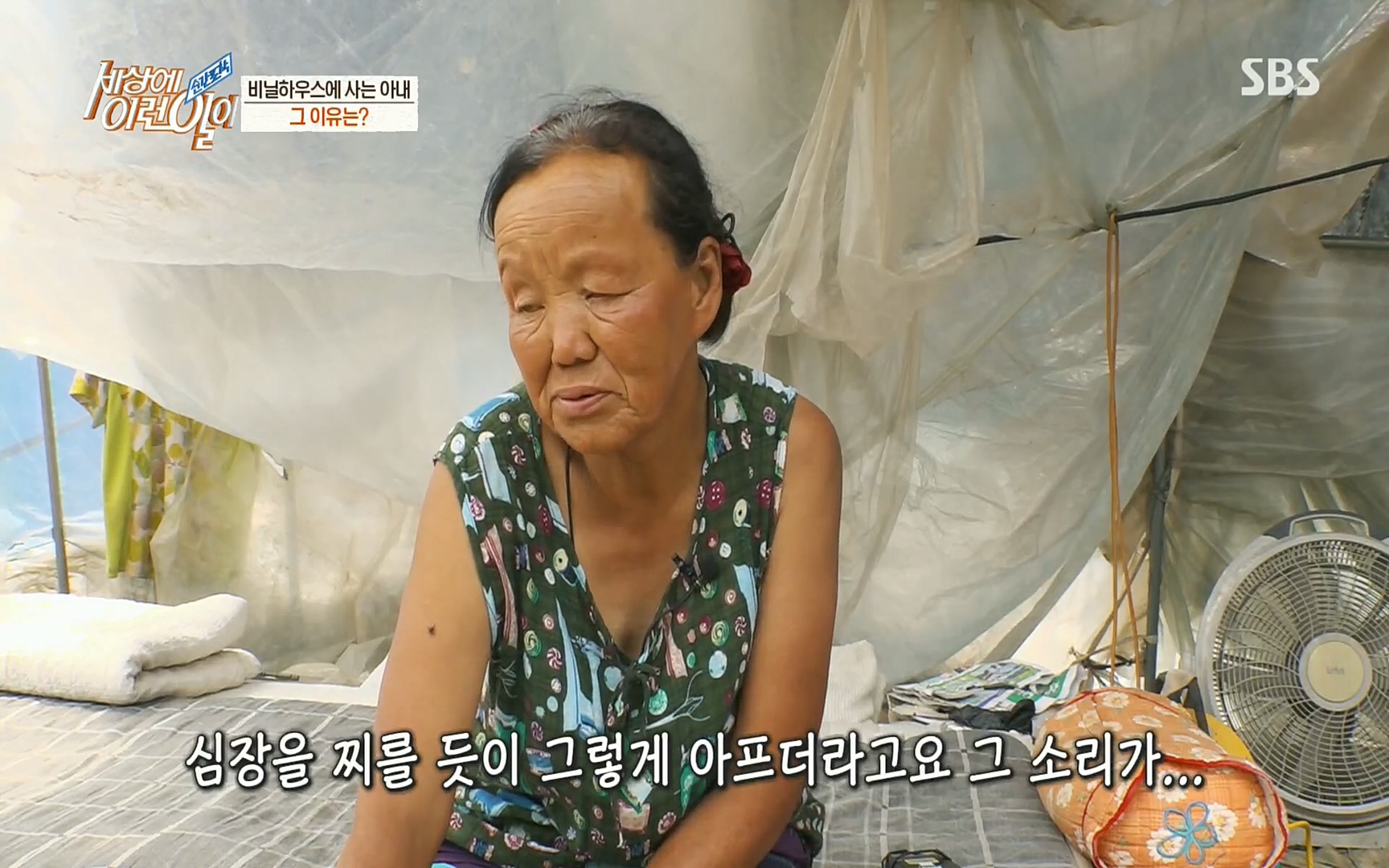 순간포착 세상에 이런일이.E1186.220628p.H264-F1RST.mp4_20220629_201014.024.jpg