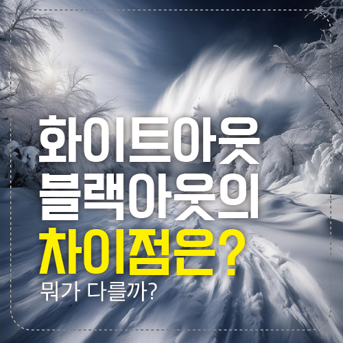 아웃 차이점
