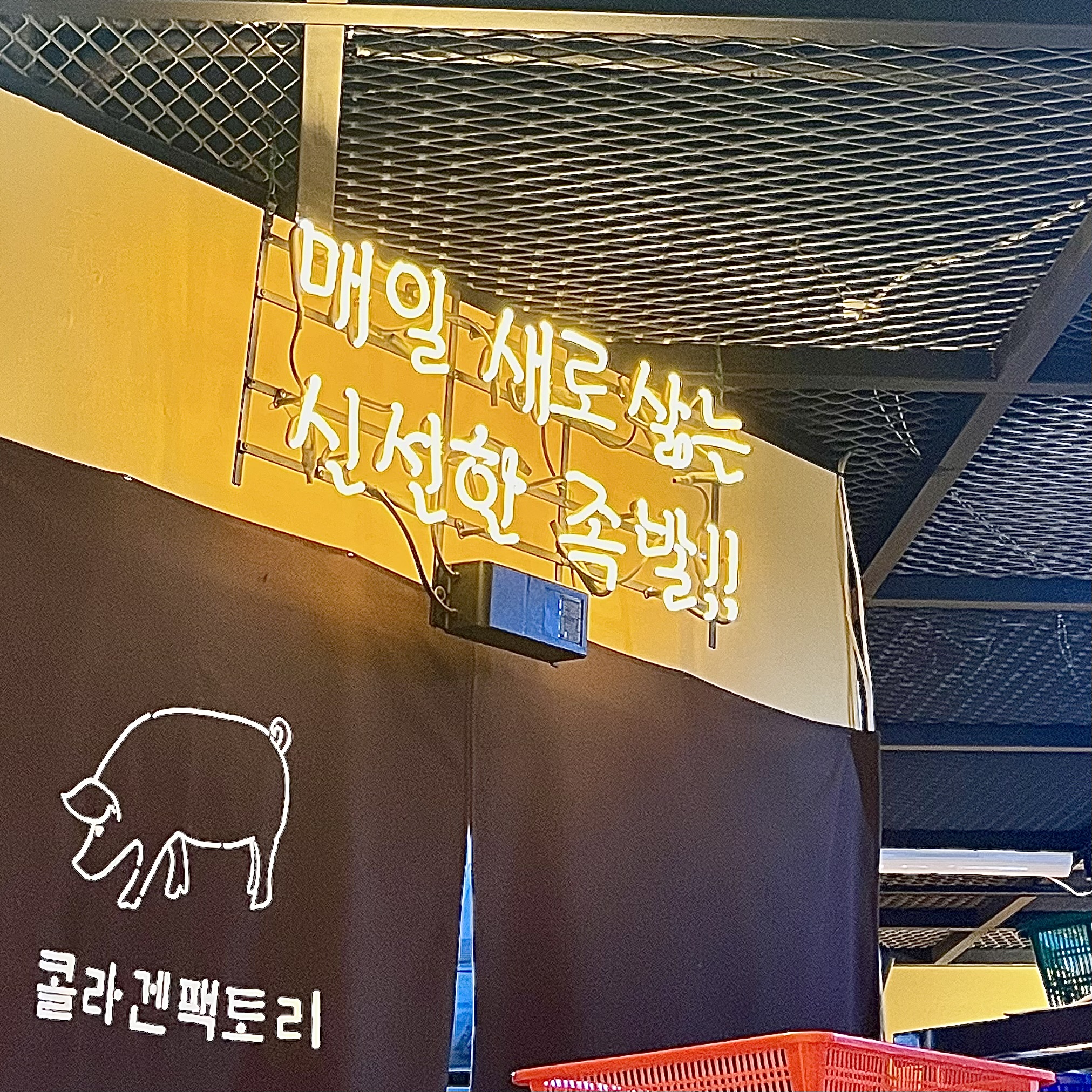매일-삶는-신선한-족발-주왕