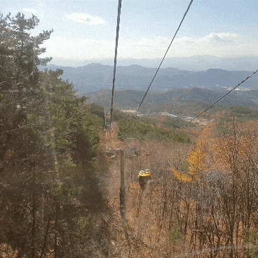 주말 가볼만한곳 베스트10 대구여행 가볼만한곳 팔공산 20