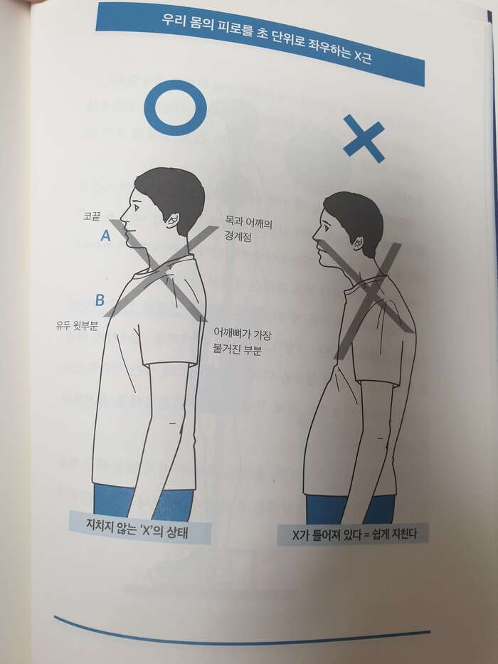 지치지 않는 X