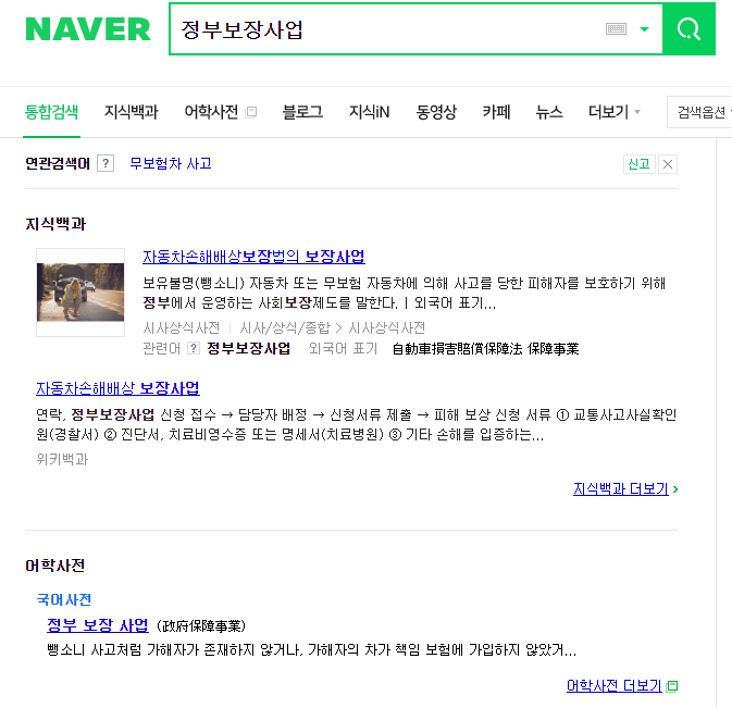  정부보장사업