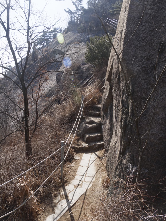 호랑이가 인왕산 호랑이 만나러 18