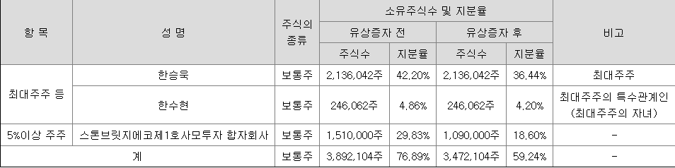 디에스단석 최대주주