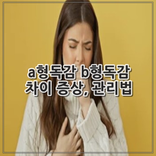 a형독감 b형독감 차이 증상, 관리법