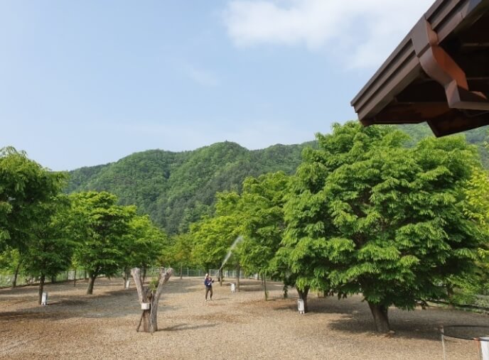 블루래빗 캠핑장