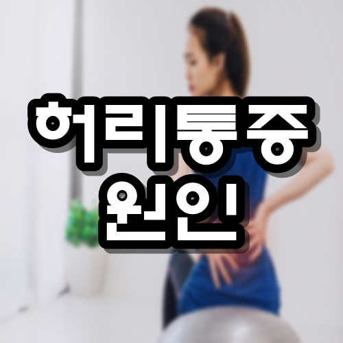  허리통증 원인