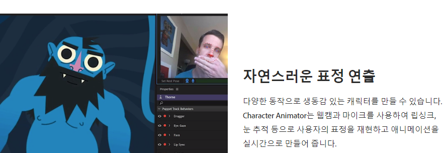  Adobe Flash 지원 종료일 | 온라인 컨텐츠에 대한 잡설