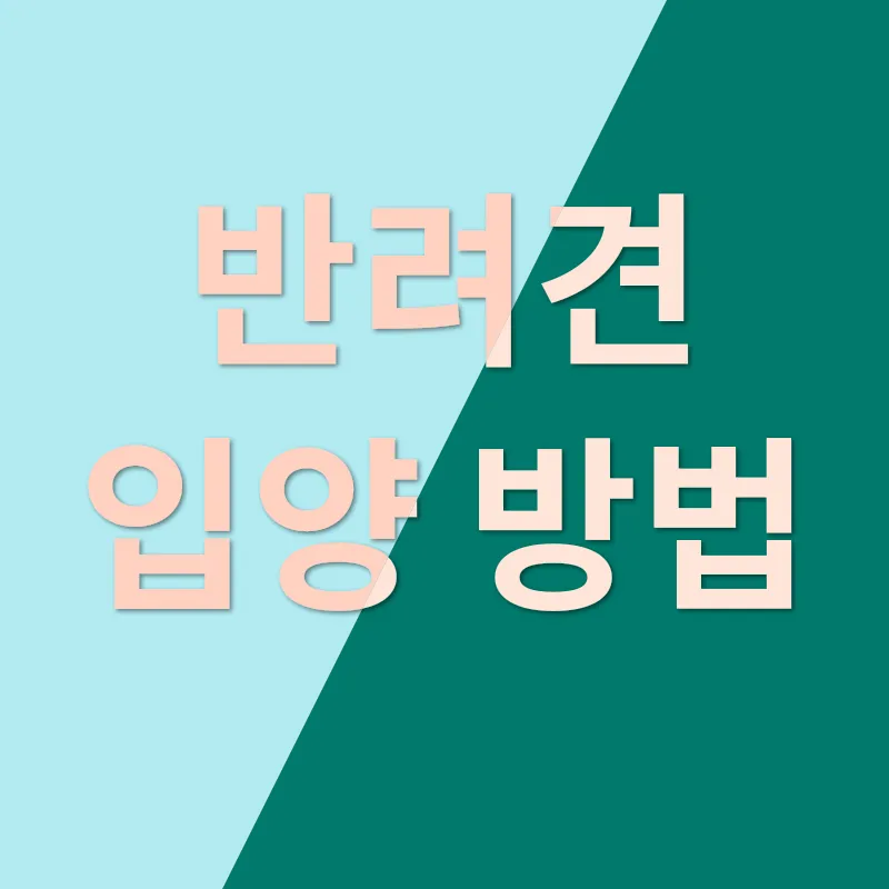 반려견 입양 고려하기_3