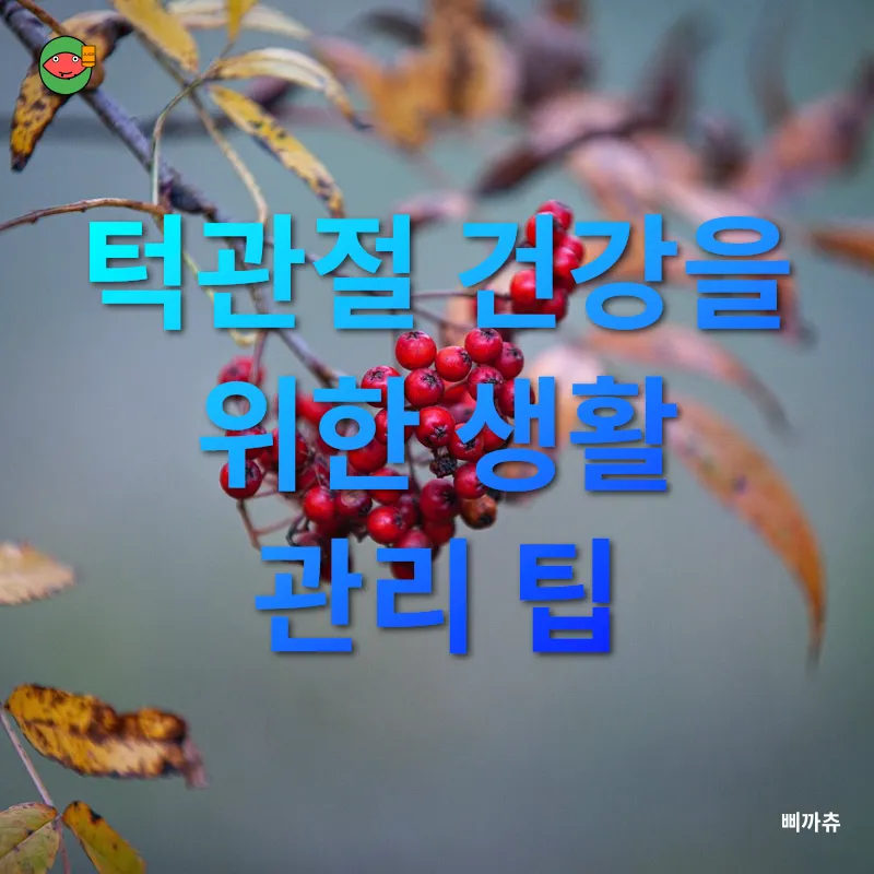 턱관절 건강_3