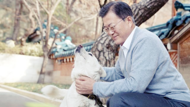 풍산개-쓰다듬는-문재인-전대통령