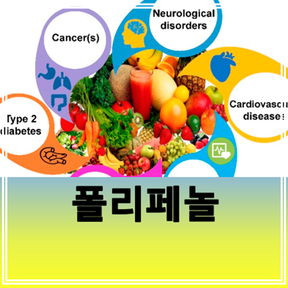 폴리페놀