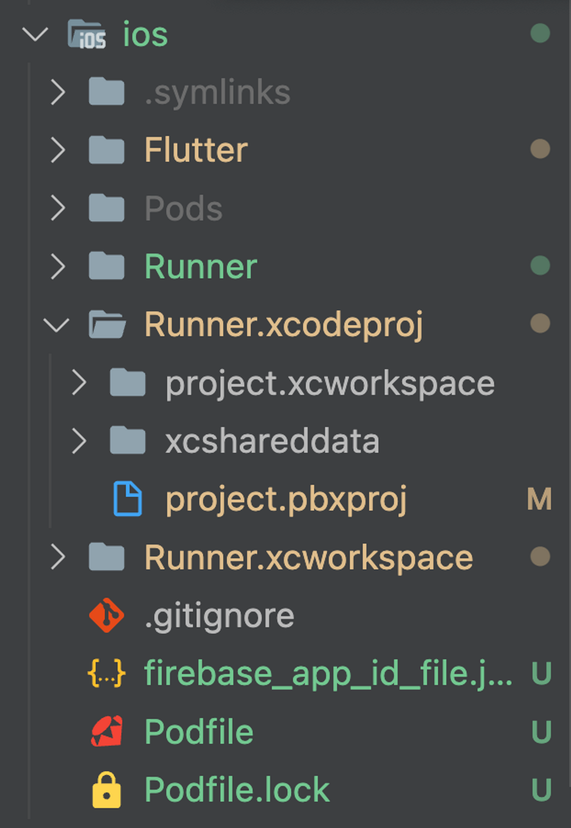 Runner.xcodeproj/project.pbxproj 파일 위치