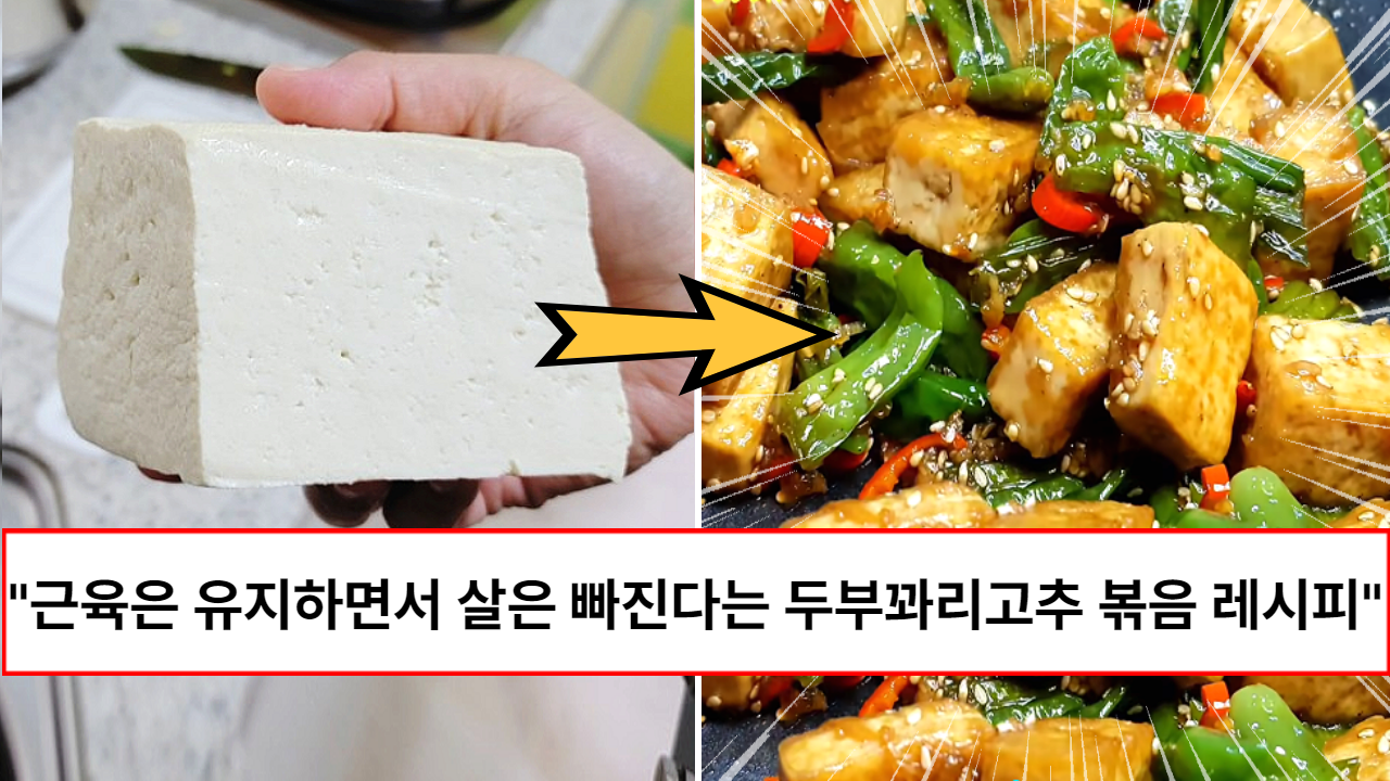 “하루 단백질 권장량이 모두 채워집니다” 호불호가 없다는 조회수 1030만회의 두부꽈리고추볶음 요리 레시피 “하루 단백질 권장량이 모두 채워집니다” 호불호가 없다는 조회수 1030만회의 두부꽈리고추볶음 요리 레시피