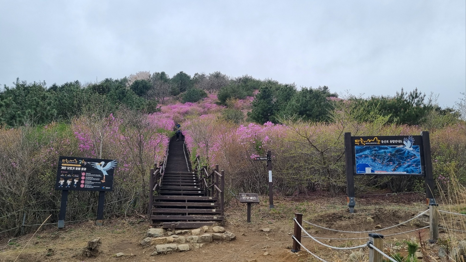 무학산 등산23
