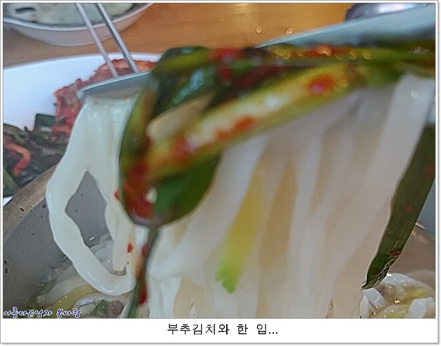 서울손칼국수 이미지