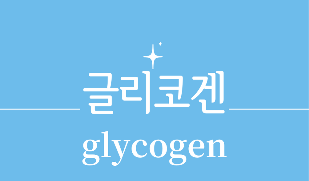 '글리코겐(glycogen)'