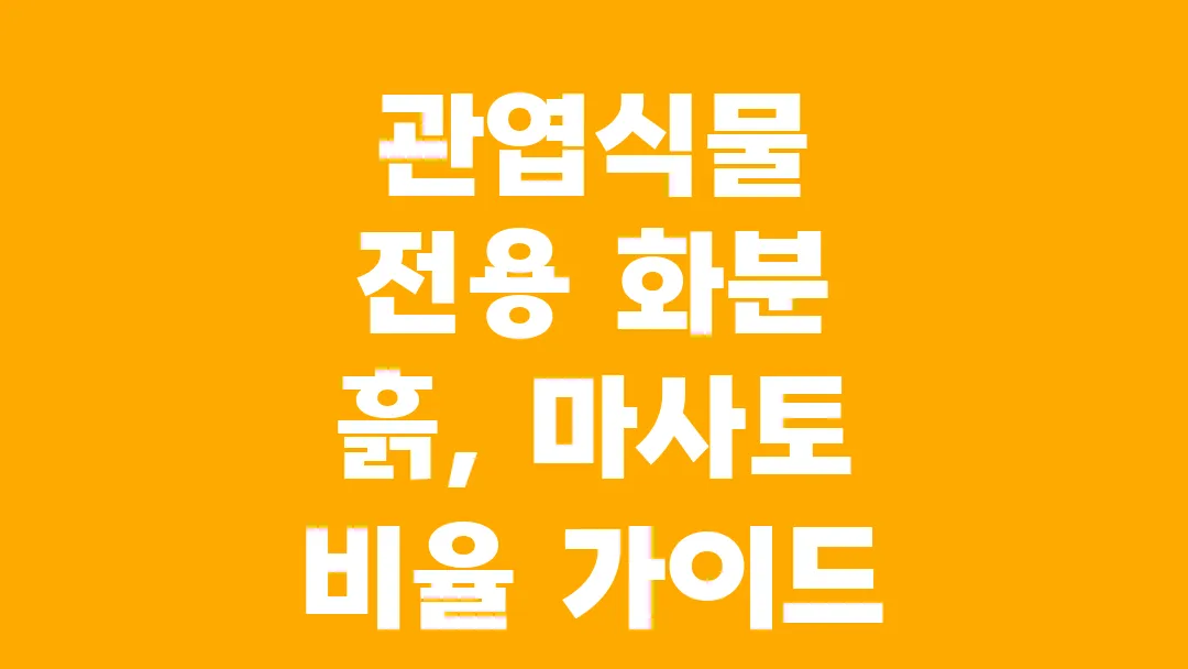 관엽식물 전용 화분 흙, 마사토 비율 가이드