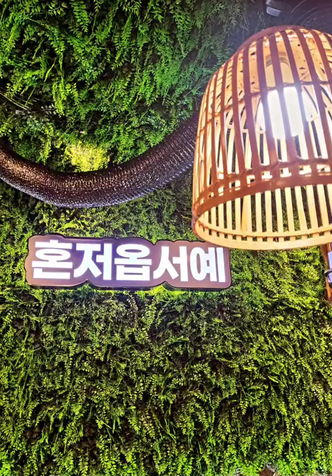 제주감성 이미지