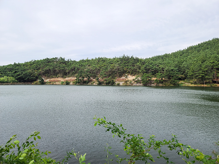충남 걷기 좋은 숲길 국내여행 걷기 좋은 길, 28