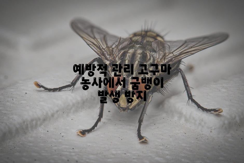 예방적 관리 고구마 농사에서 굼뱅이 발생 방지