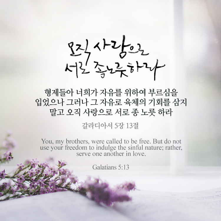  올리벳 캘리그라피 (오직 사랑으로 서로 종노릇하라)