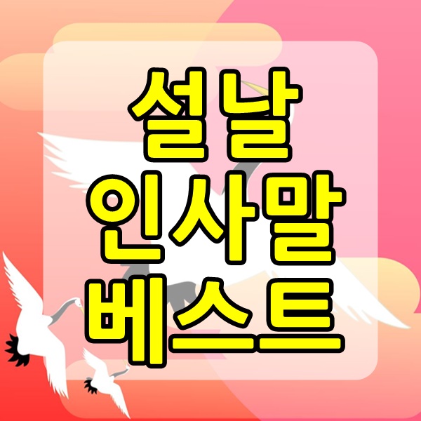  2021년 설날 인사말 및 저렴한 명절선물 추천