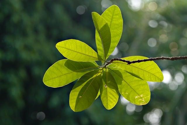 클라쎄 에어컨 as 신청부터 비용까지