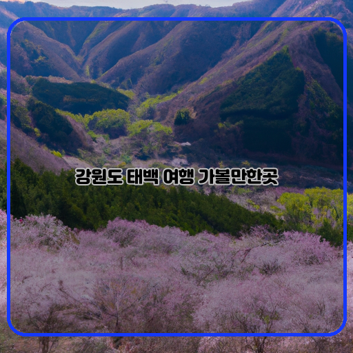 스키리조트-태백산-태백호