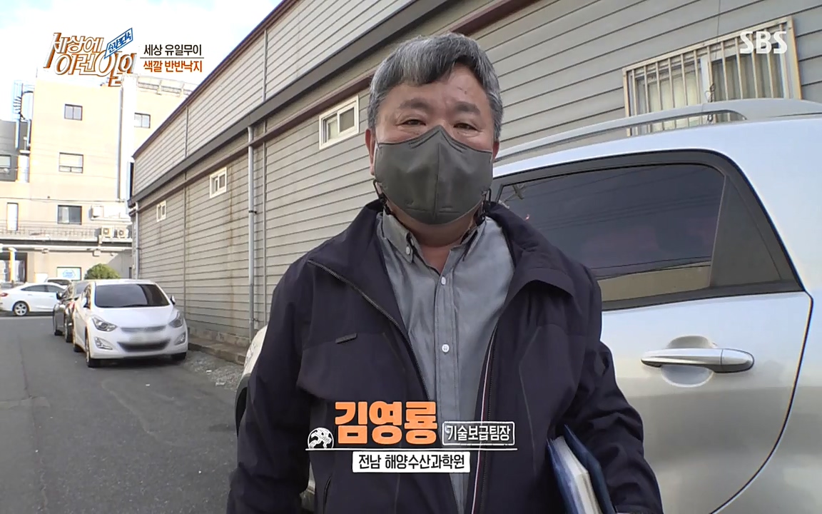 순간포착 세상에 이런일이.E1178.220504p-NEXT.mp4_20220504_172937.053.jpg