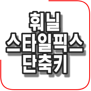  훠닐 스타일 픽스 단축키