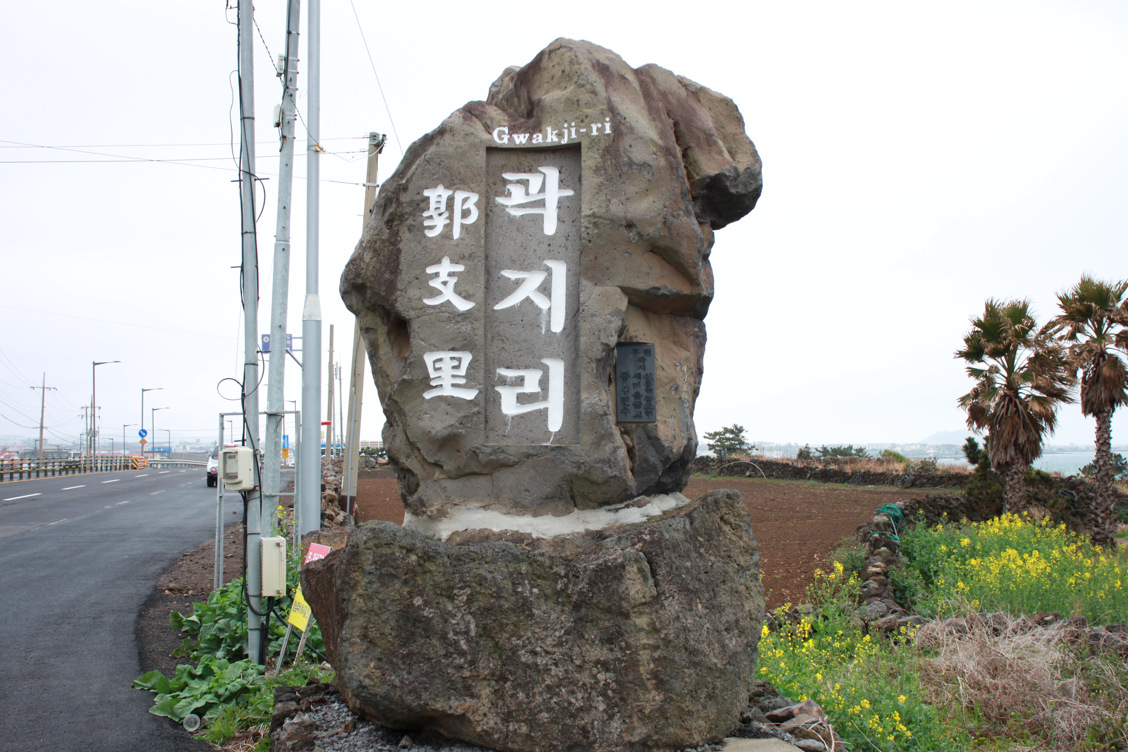 미로항공여행사 이미지