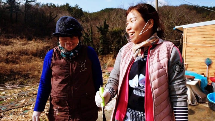 한국인의 밥상 전남 장흥 매생이굴국 끓이는 분