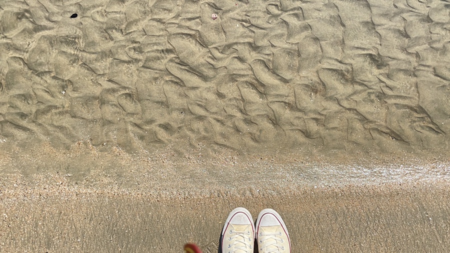 시티투어 광안리 해수욕장 10월 마지막 날 부산여행 4