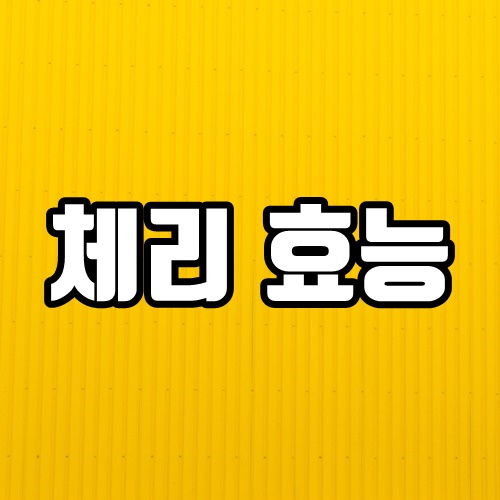  체리 효능