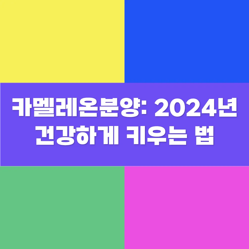 썸네일 이미지