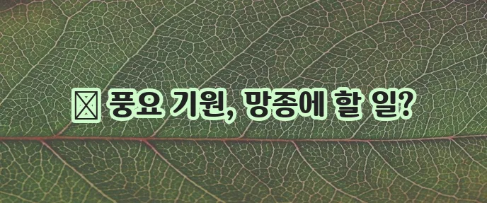 망종 절기에는 어떤 일을 해야 할까요 궁금하네요!