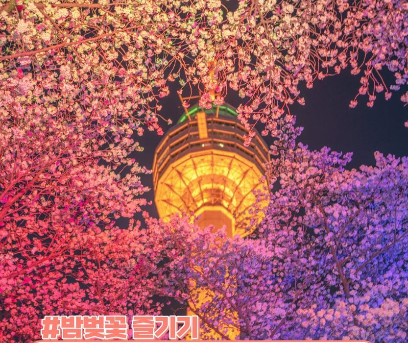 이월드 벚꽃축제