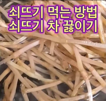 쇠뜨기-풀-먹는법