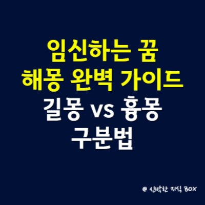 임신하는 꿈 해몽 완벽 가이드(길몽 vs 흉몽 구분법)